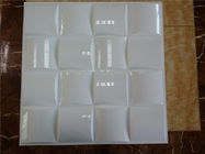 Panneaux de mur légers de PVC 3D acryliques/matière plastique pour l'installation facile intérieure